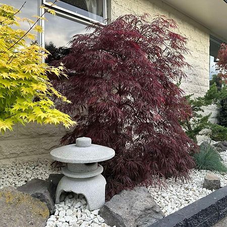 The Airport Homestay House Christchurch Exterior photo